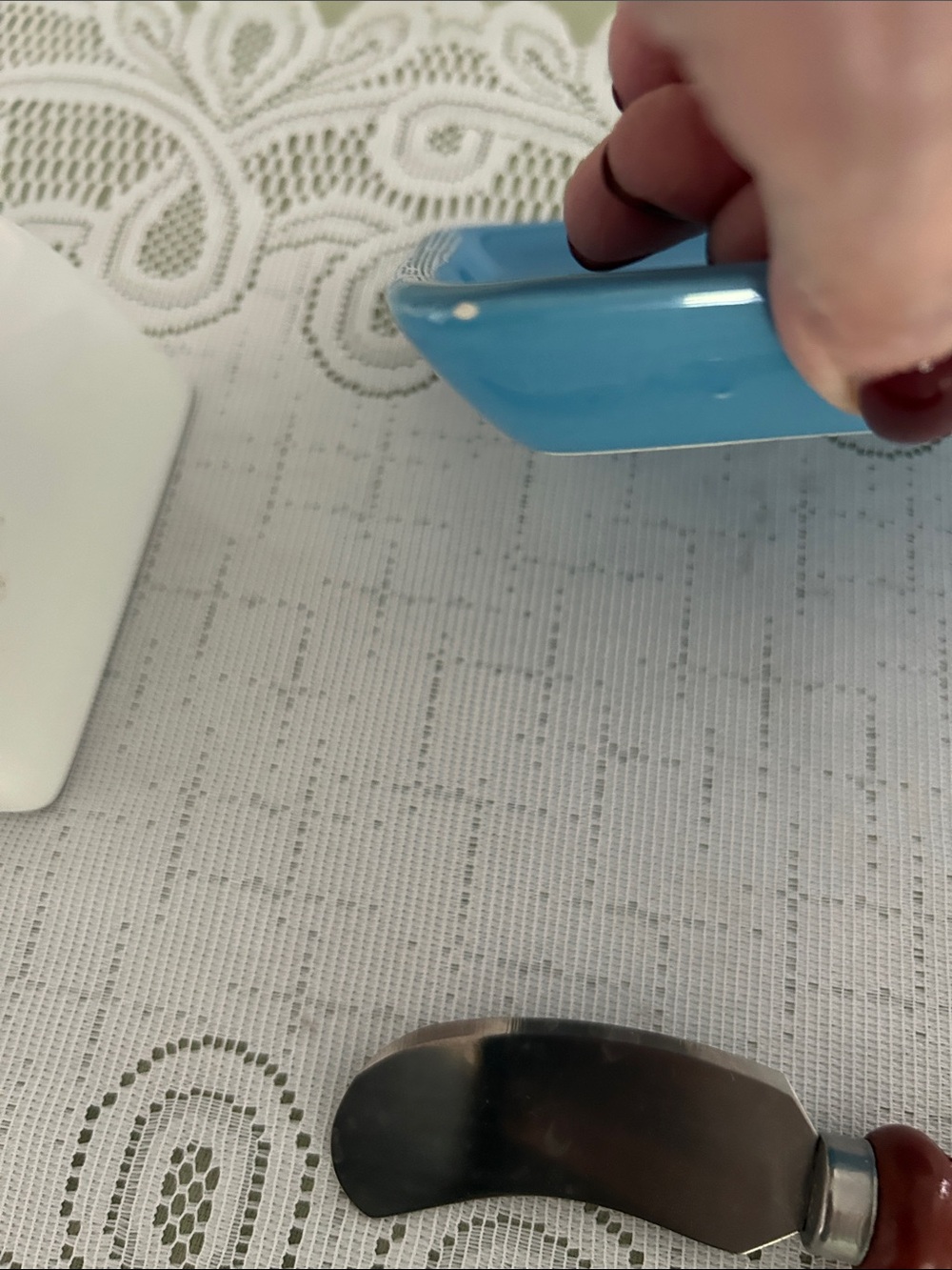 Blueberry Motif Ceramic Butter Dish with Blue Base 8x5 in few call outs - Picture 7 of 11
